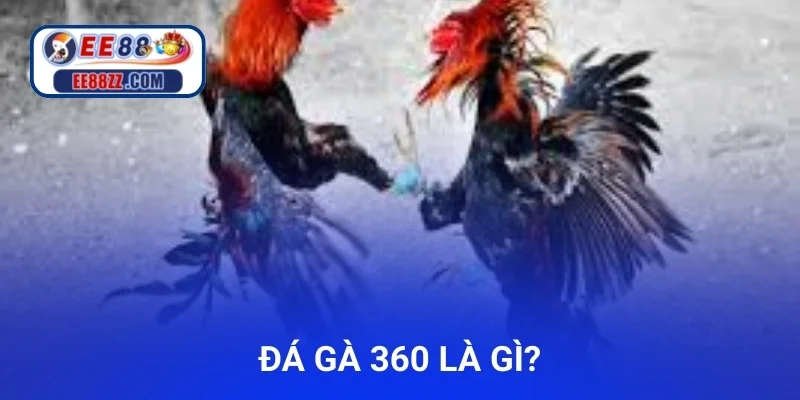 Đá Gà 360 là gì?